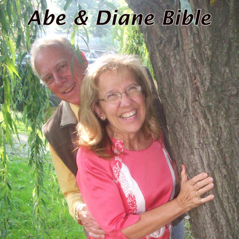 nlfc abediane fixed module